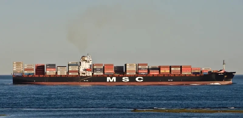 MSC PILAR Container Ship IMO 8715871 photo 3