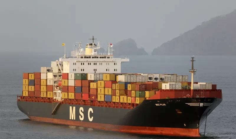 MSC PILAR Container Ship IMO 8715871 photo 5