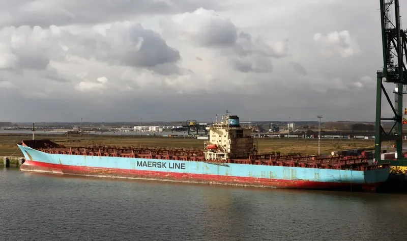 MSC PILAR Container Ship IMO 8715871 photo 6