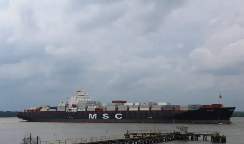 MSC PILAR Container Ship IMO 8715871 photo 7