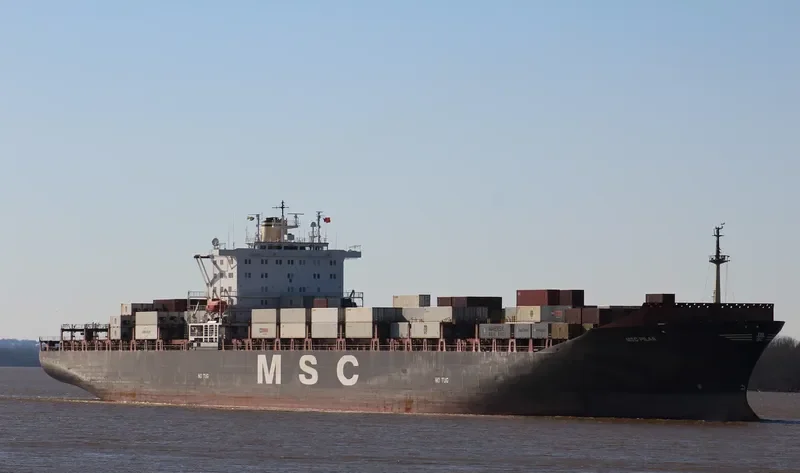 MSC PILAR Container Ship IMO 8715871 photo 8