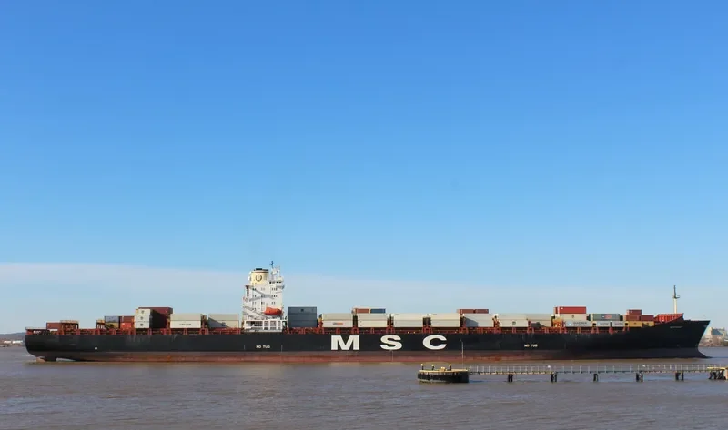 MSC PILAR Container Ship IMO 8715871 photo 9