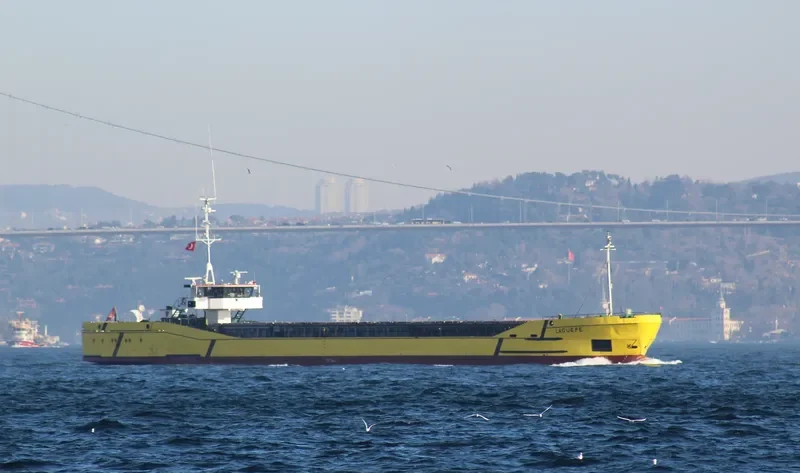 LAGUEPE General Cargo IMO 8717556