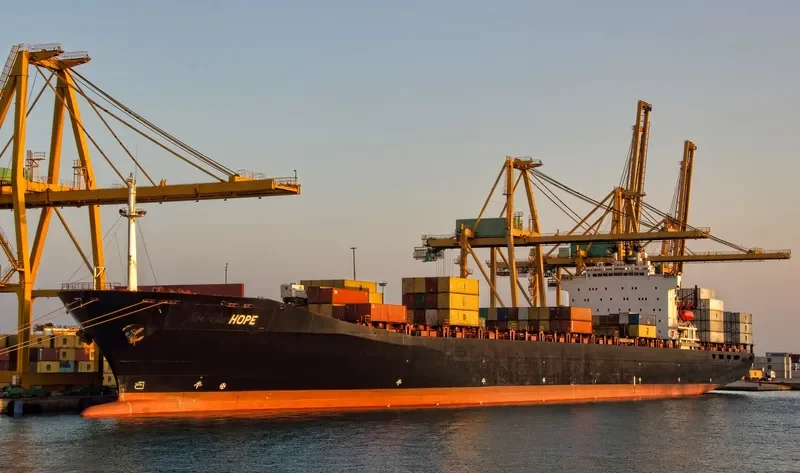 HOPE Container Ship IMO 8718110 photo 2