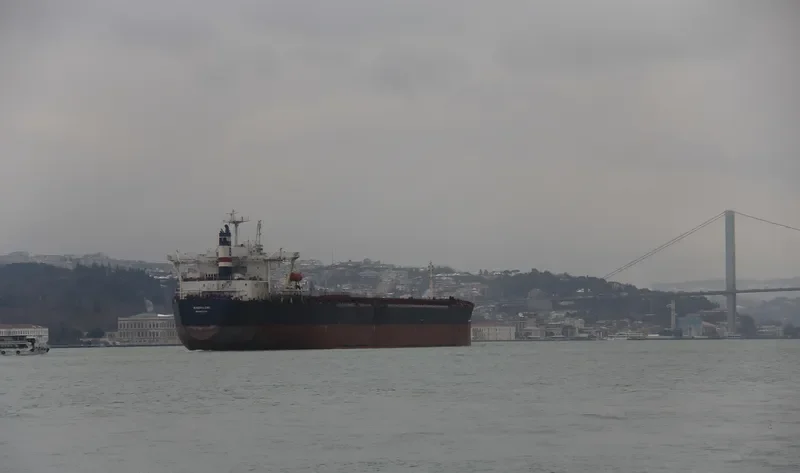 MAGDALENE Bulk Carrier IMO 8718134 photo 3