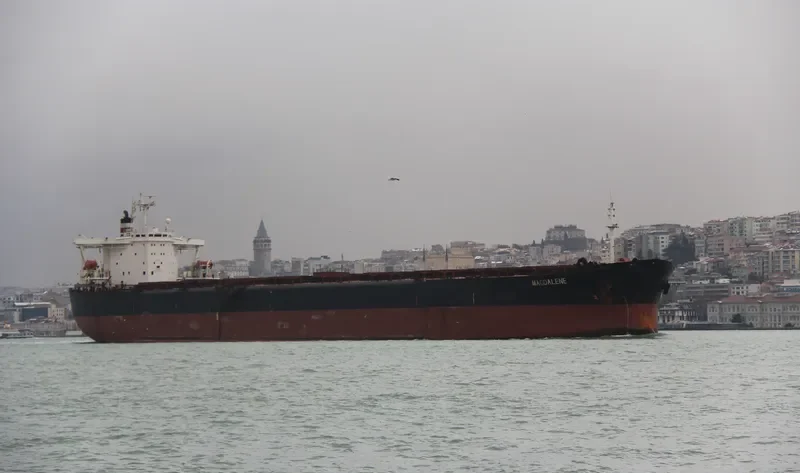 MAGDALENE Bulk Carrier IMO 8718134 photo 4