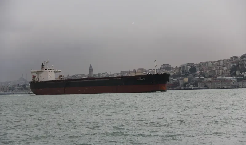 MAGDALENE Bulk Carrier IMO 8718134 photo 5