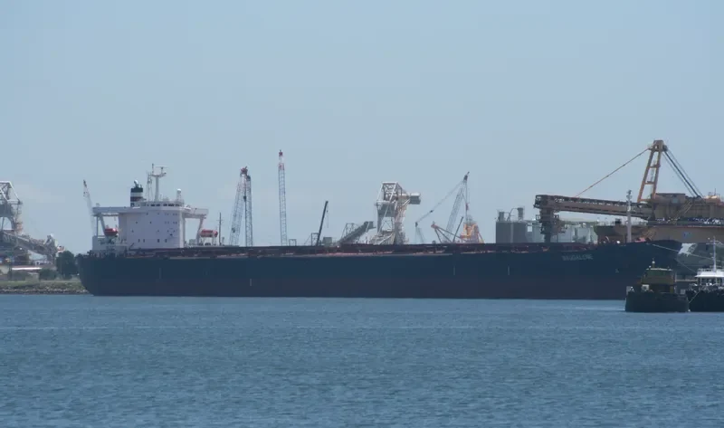 MAGDALENE Bulk Carrier IMO 8718134 photo 10