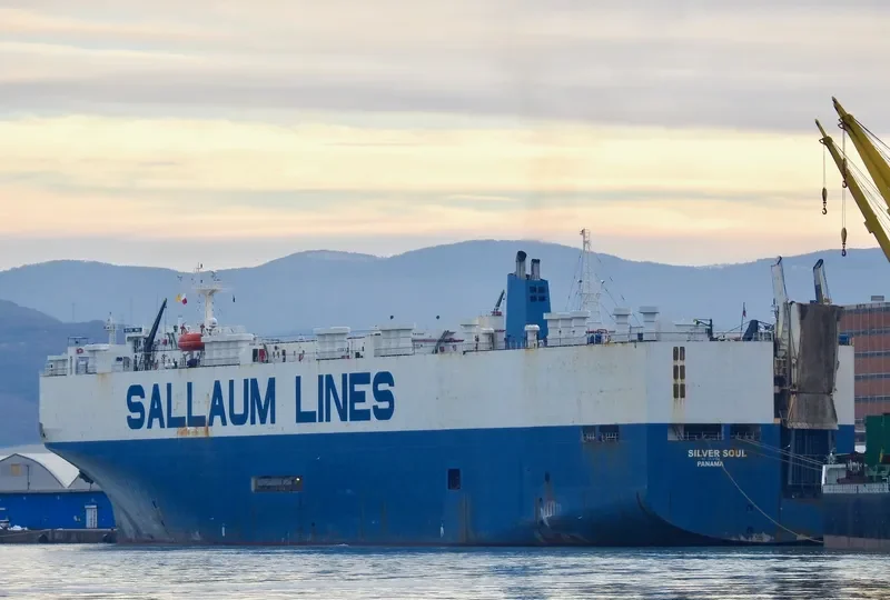SILVER SOUL General Cargo IMO 8718706