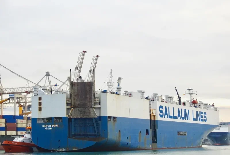 SILVER SOUL General Cargo IMO 8718706 photo 2