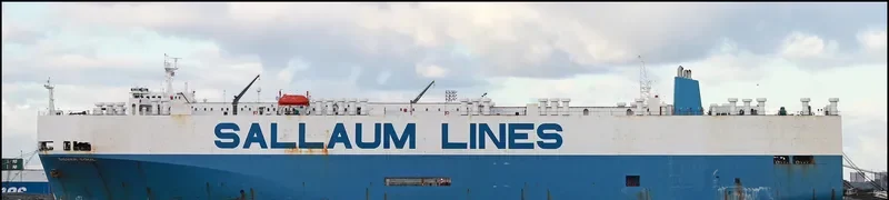 SILVER SOUL General Cargo IMO 8718706 photo 10