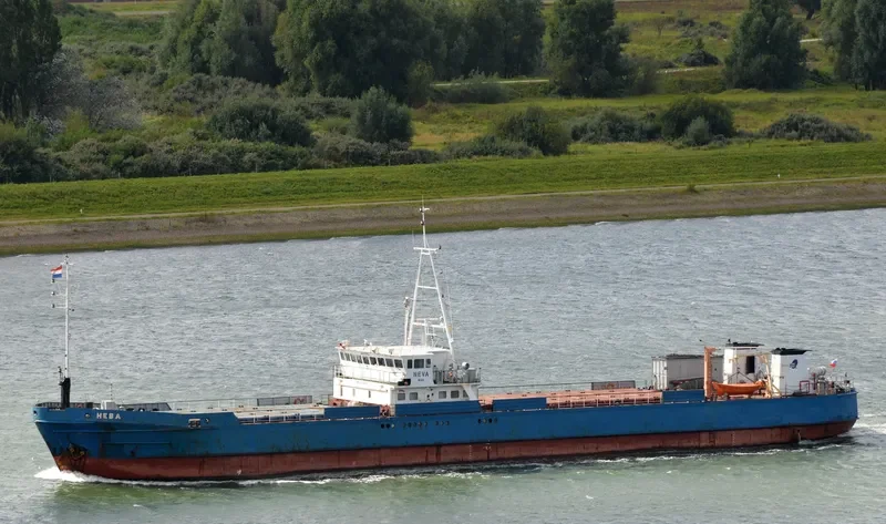 MAIMECHA General Cargo IMO 8719413 photo 8