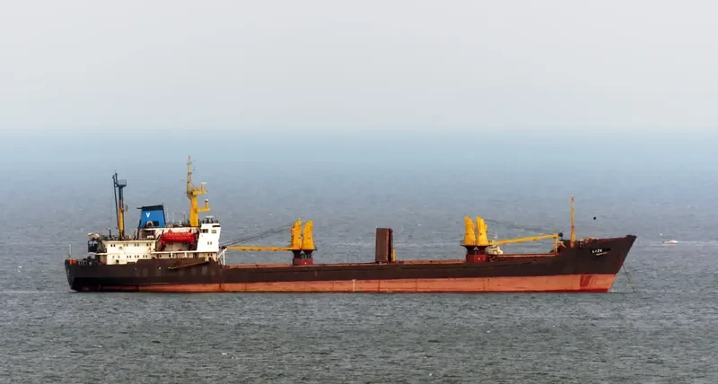LIZA General Cargo IMO 8721014 photo 2