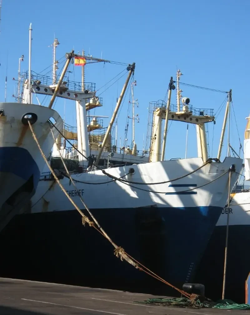GALILEO General Cargo IMO 8721088 photo 2