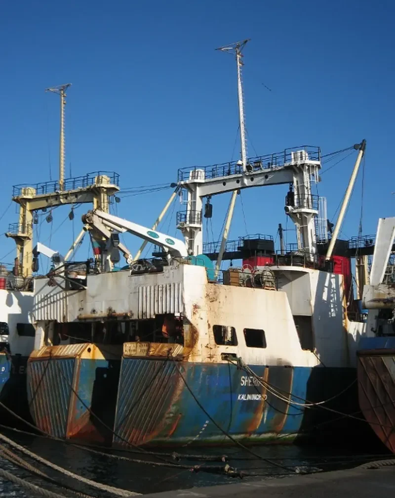GALILEO General Cargo IMO 8721088 photo 3