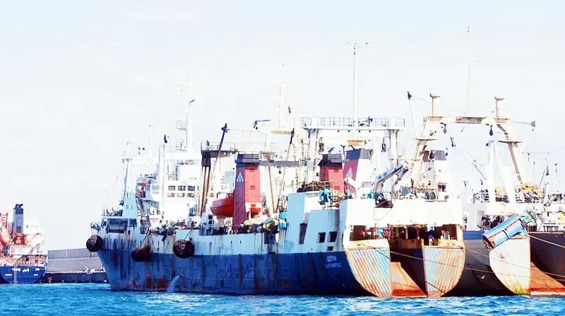 GALILEO General Cargo IMO 8721088 photo 4