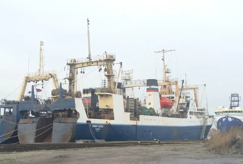PAVEL BATOV General Cargo IMO 8721090 photo 3