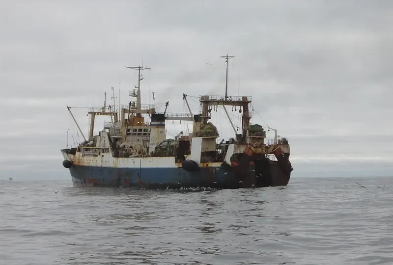 PAVEL BATOV General Cargo IMO 8721090 photo 5