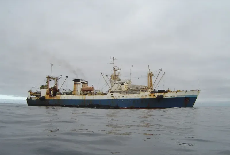 PAVEL BATOV General Cargo IMO 8721090 photo 6