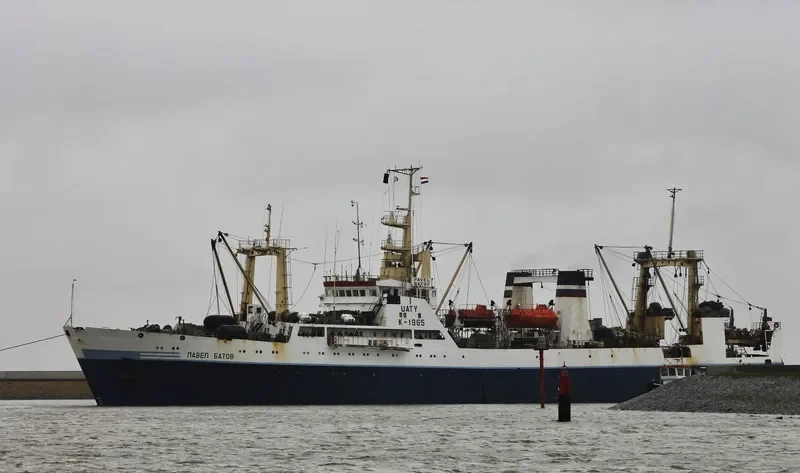 PAVEL BATOV General Cargo IMO 8721090 photo 9
