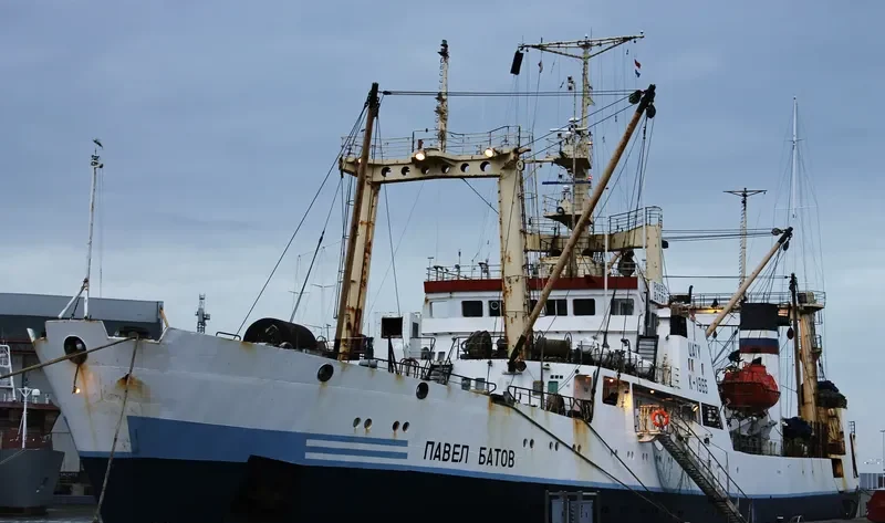 PAVEL BATOV General Cargo IMO 8721090 photo 10