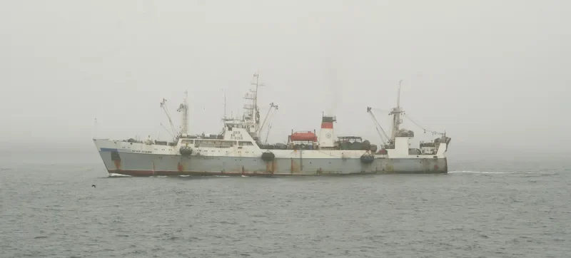 MATVEY KUZMIN General Cargo IMO 8721117 photo 2