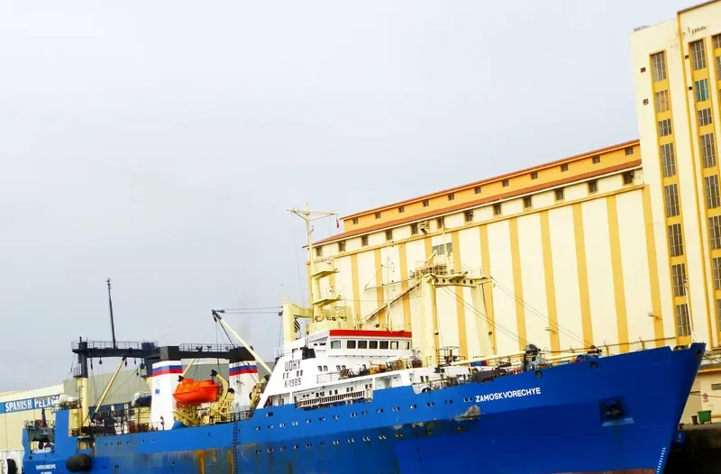 ZAMOSKVORECHYE General Cargo IMO 8721129 photo 10