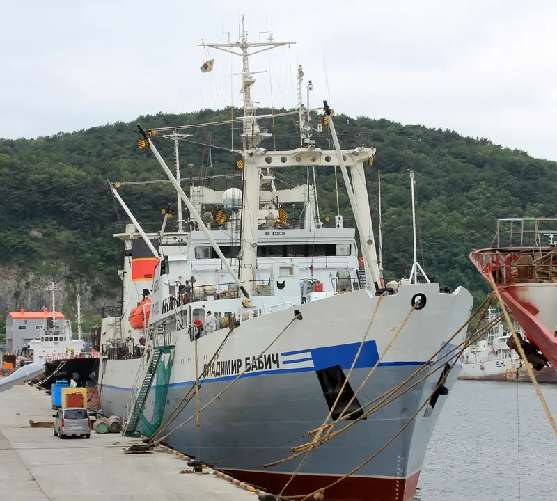 VLADIMIR BABICH General Cargo IMO 8721210 photo 2
