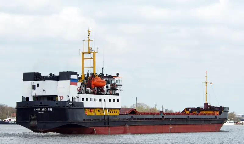 MEOTIDA General Cargo IMO 8721399 photo 4