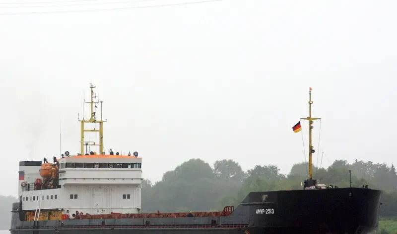 MEOTIDA General Cargo IMO 8721399 photo 9
