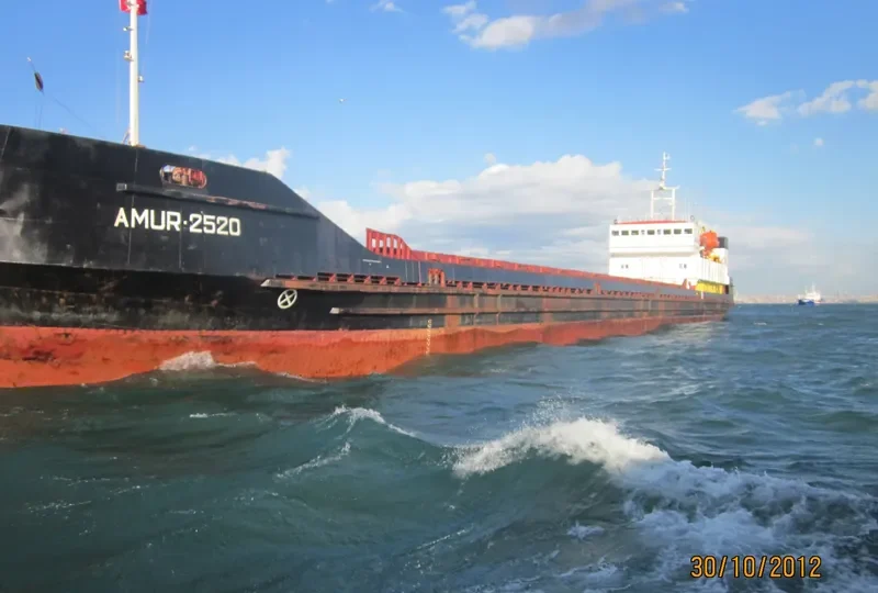 TAYGA General Cargo IMO 8721466 photo 8