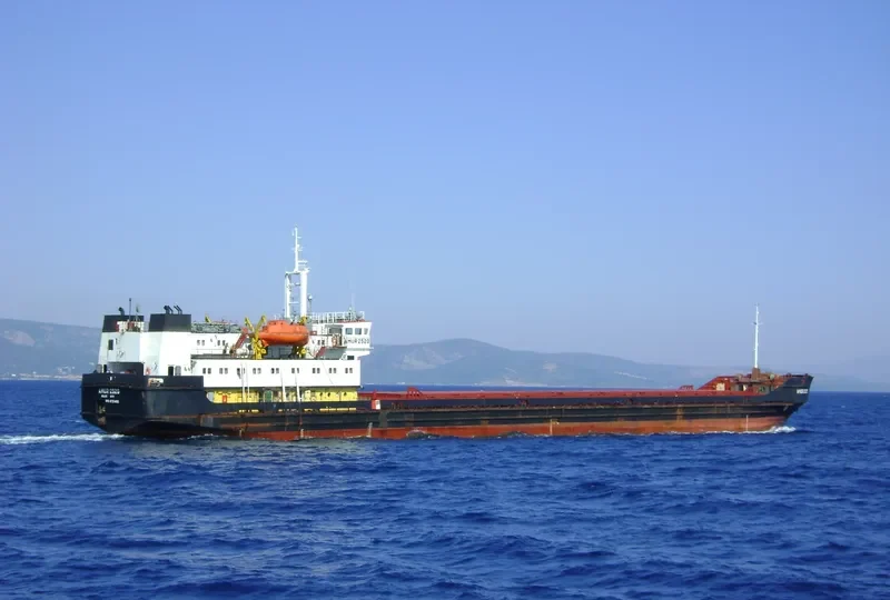 TAYGA General Cargo IMO 8721466 photo 9