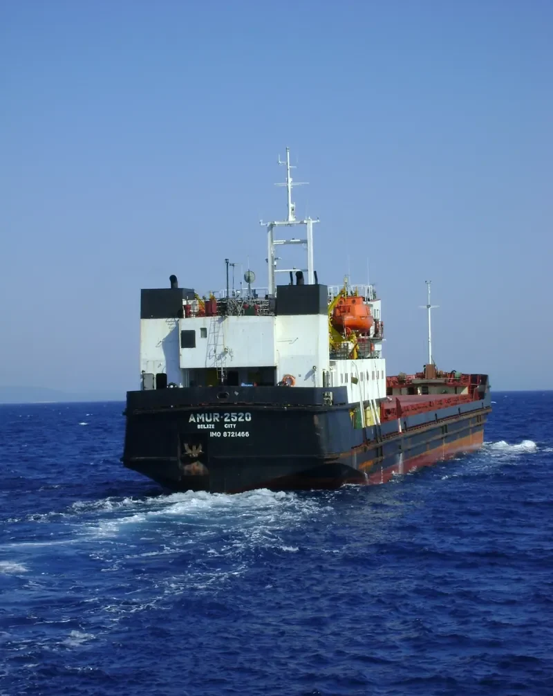 TAYGA General Cargo IMO 8721466 photo 10