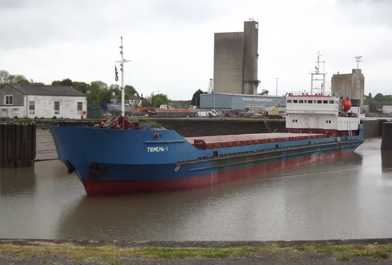 TYUMEN 1 General Cargo IMO 8721492 photo 8