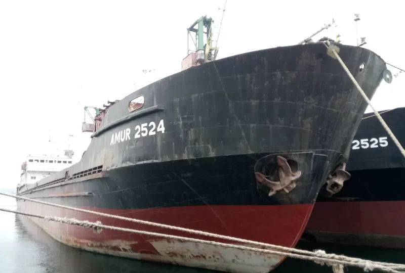 ANGARSK General Cargo IMO 8721507 photo 2