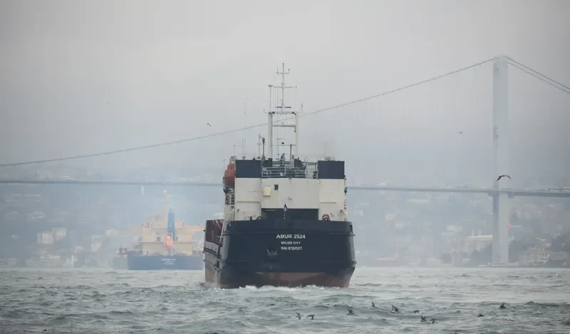ANGARSK General Cargo IMO 8721507 photo 8