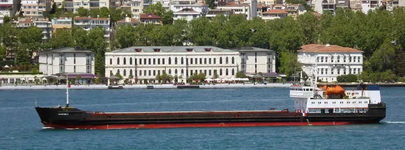 BAYKAL General Cargo IMO 8721533 photo 3