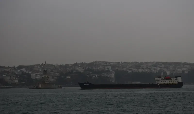 BAYKAL General Cargo IMO 8721533 photo 9