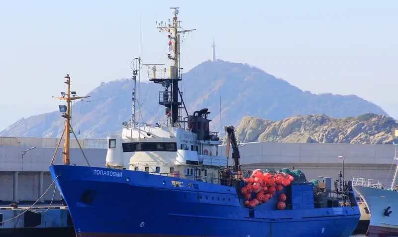 TOPAZOVYY General Cargo IMO 8721882