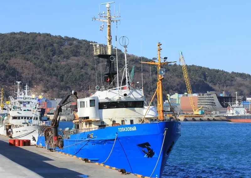 TOPAZOVYY General Cargo IMO 8721882 photo 2