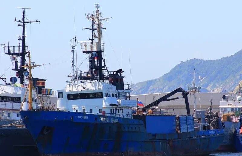 TOPAZOVYY General Cargo IMO 8721882 photo 3