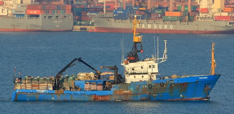 TOPAZOVYY General Cargo IMO 8721882 photo 7