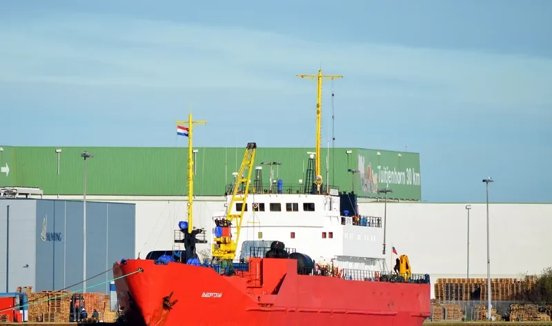 VYBORGSKIY General Cargo IMO 8723270 photo 2