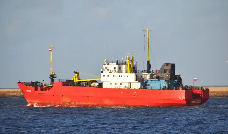 VYBORGSKIY General Cargo IMO 8723270 photo 7