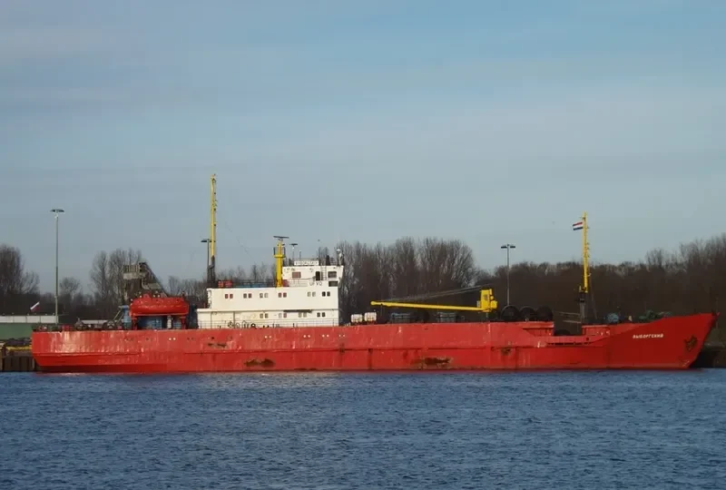 VYBORGSKIY General Cargo IMO 8723270 photo 8