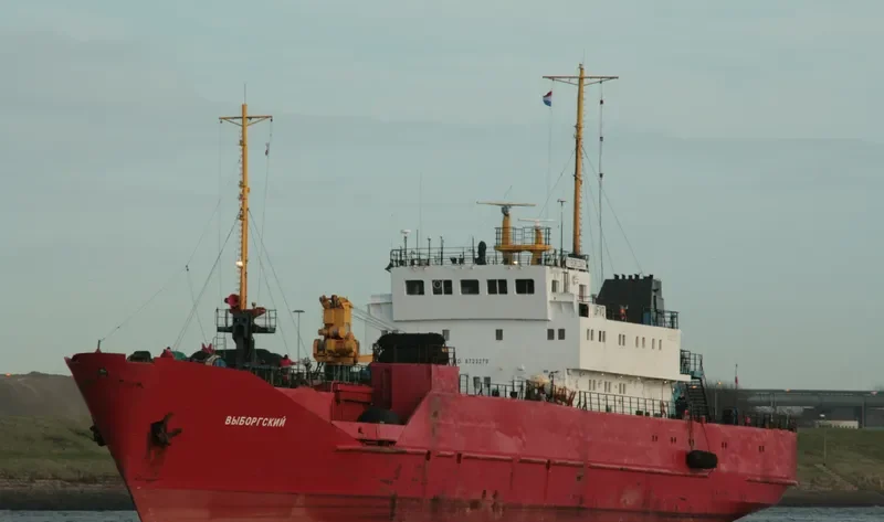 VYBORGSKIY General Cargo IMO 8723270 photo 10