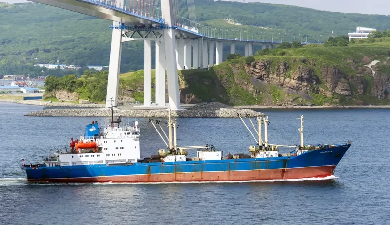 SORAKSAN General Cargo IMO 8723361 photo 4