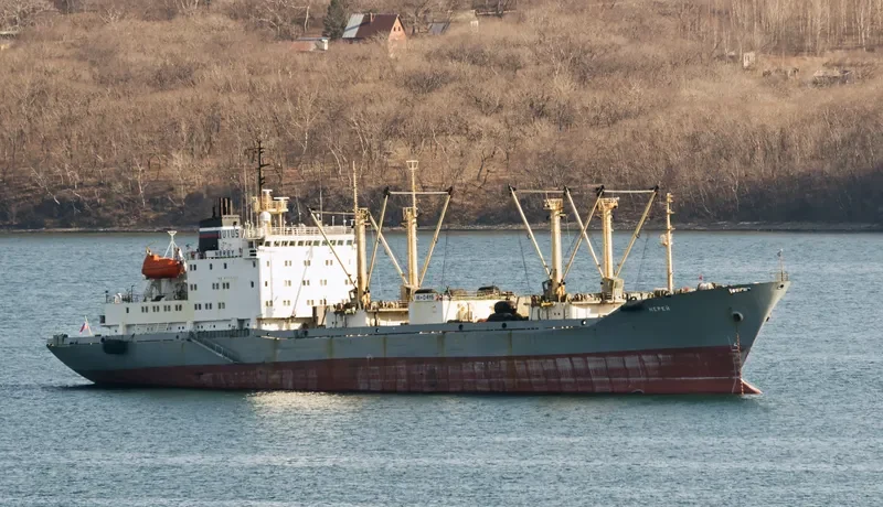 NEREY General Cargo IMO 8723373 photo 3