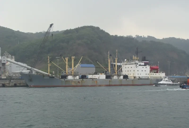 NEREY General Cargo IMO 8723373 photo 10