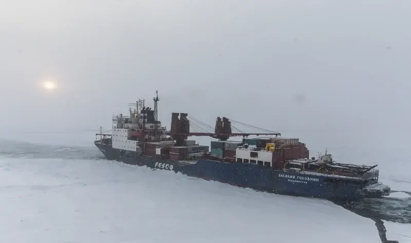 VASILIY GOLOVNIN Ro-Ro IMO 8723426 photo 10
